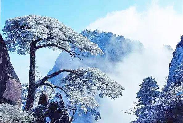 黃山