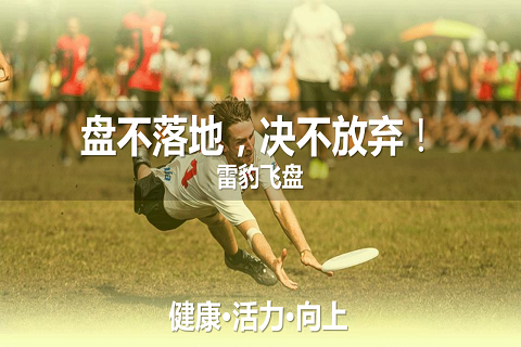 運動系列-飛盤團建