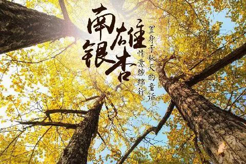 韶關高雄銀杏，溫泉