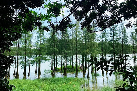 增城1天游