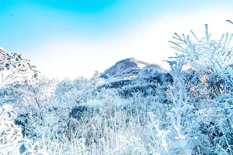 清遠金子山
