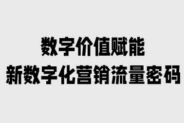 新數字化營銷流量密碼